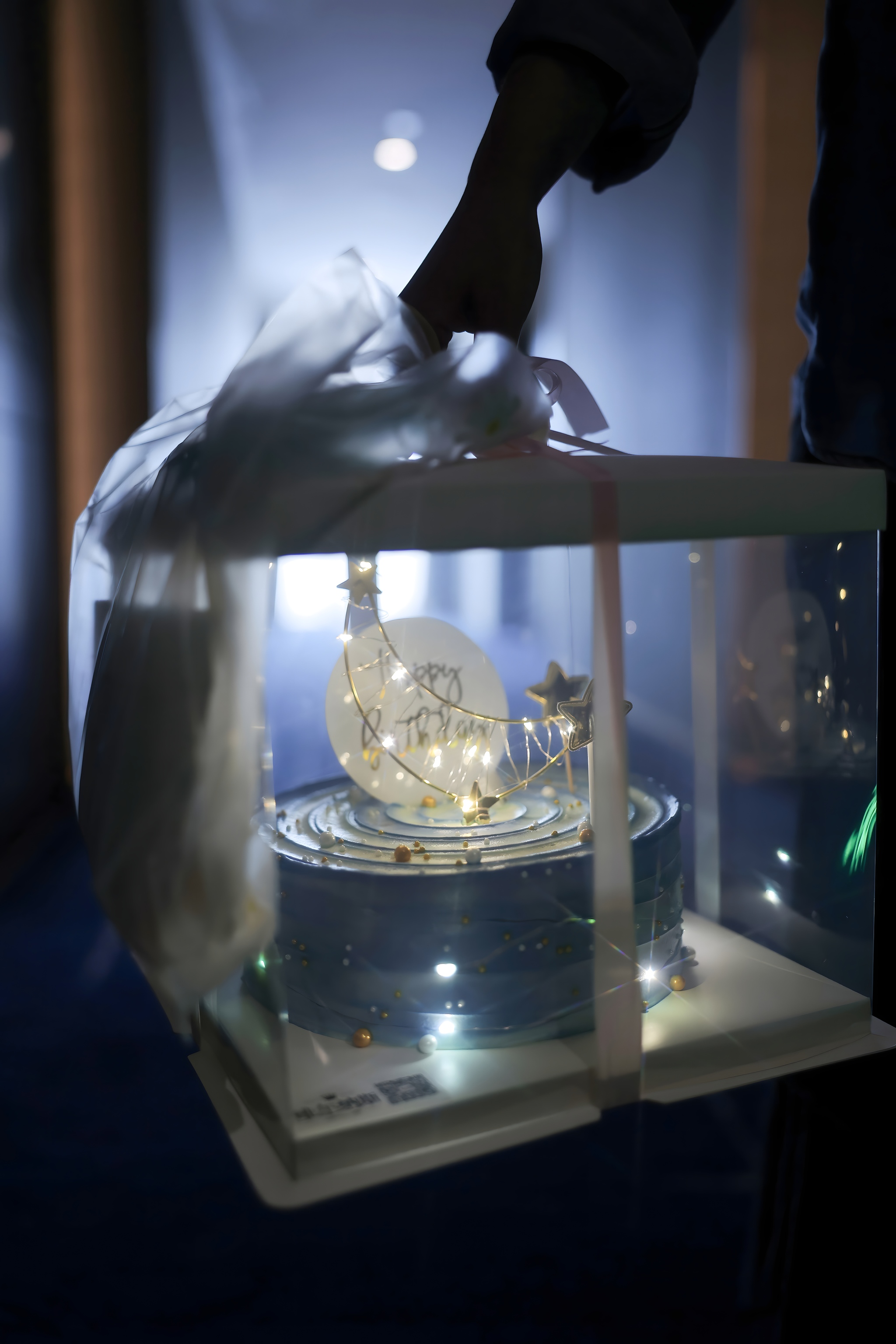 010.谢小蒽 – 内购无水印 生日聚会[115P]-XikXak